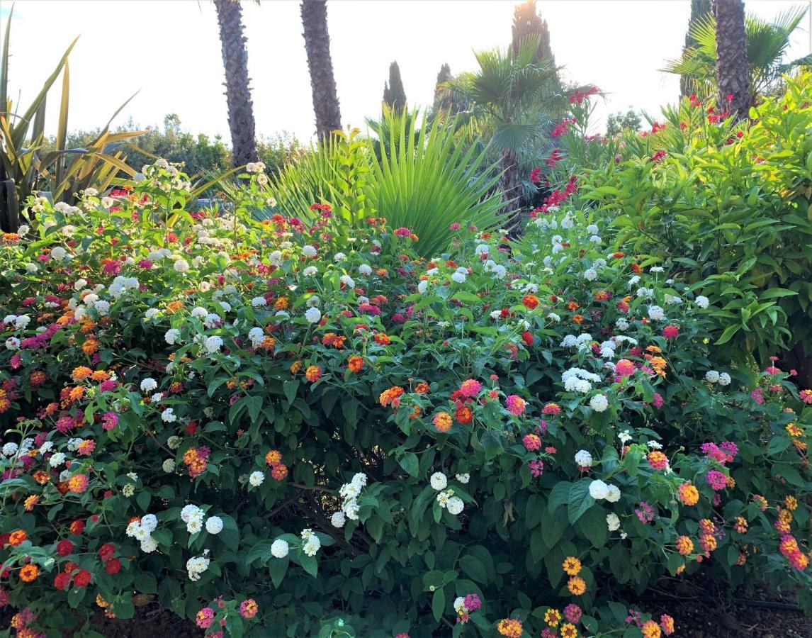 Domaine De L'Aufrene Bed & Breakfast Hyeres Ngoại thất bức ảnh