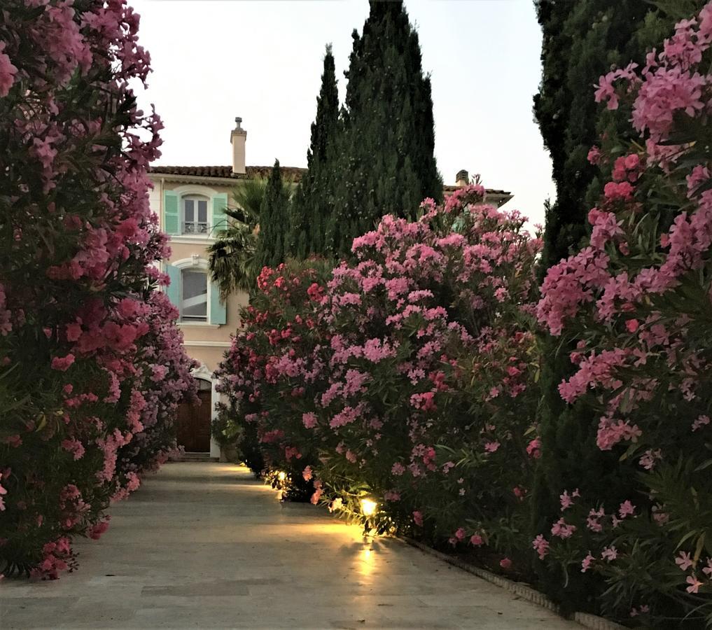 Domaine De L'Aufrene Bed & Breakfast Hyeres Ngoại thất bức ảnh