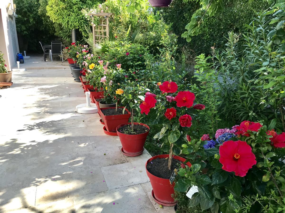 Domaine De L'Aufrene Bed & Breakfast Hyeres Ngoại thất bức ảnh